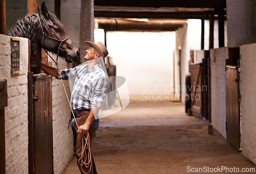 Image of Cowboy, man and horse in stable with check for care, growth and development at farm, ranch or countryside. Person, animal or pet with love, connection and bonding for wellness with nature in Texas