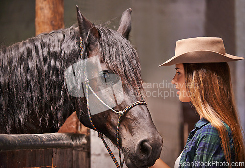 Image of Horse, farm and ranch owner with woman in barn or stable for work in agriculture or sustainability. Cowgirl, texas or western and serious animal farmer or owner with stallion for equestrian training