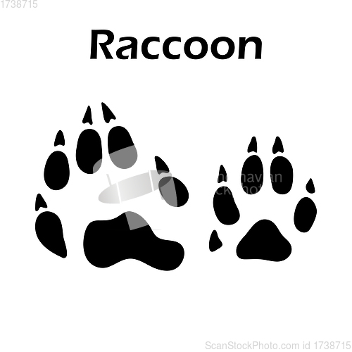 Image of Raccoon Footprint