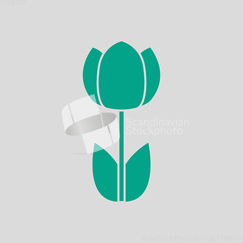 Image of Spring Flower Icon