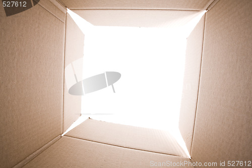 Image of inside the cardboard box