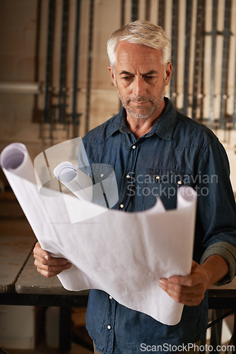 Image of Workshop, mature man and architect with blueprint for design of floor plan for remodelling. Creative, professional and male person in office with paperwork or documents of small business and startup