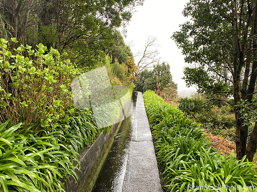 Image of beautiful Madeira landscape