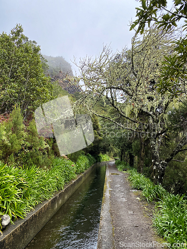 Image of beautiful Madeira landscape