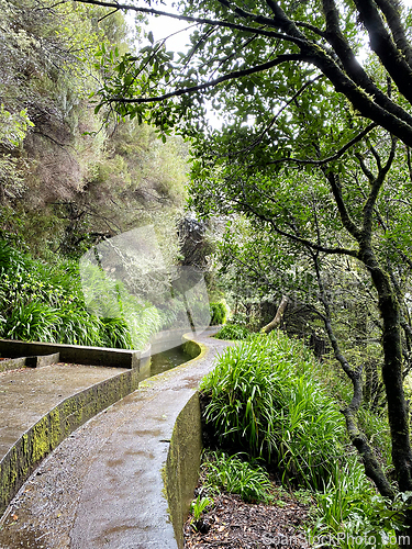 Image of beautiful Madeira landscape