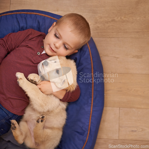 Image of Child, puppy and hug with home, floor and pet with love at house. Kid, dog and golden retriever or sleepy labrador with embrace, bond and sharing together with boy and high angle of animals or pets