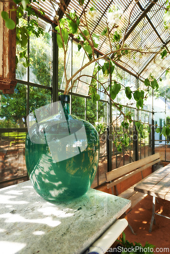 Image of Outdoor, greenhouse and table with glass in nature, ecology and carbon capture for eco environment with plant for natural sustainable growth. Earth day and health for ecosystem and clean energy