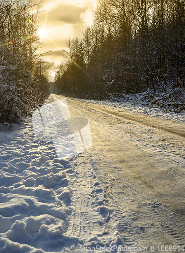 Image of road and sunny winter forest
