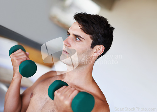 Image of Man, dumbbells for weightlifting and fitness, muscle training for strong body and self care in apartment. Topless athlete, exercise and endurance in workout at home for health, wellness and strength
