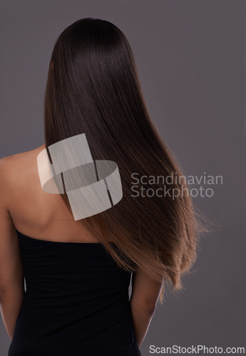 Image of Hair care, wind and back of woman with beauty, shine or body isolated on a gray studio background. Hairstyle, cosmetics and rear view of model in salon for treatment, growth or hairdresser for glow