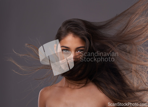 Image of Portrait, woman or wind as hair care, hairdressing or beauty as healthy, change or growth for scalp. Long, natural or hairstyle as grooming for texture, shine or volume in studio on grey background