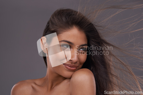 Image of Wind, smile and closeup of woman for hair care, treatment and blow dry for cosmetology isolated on studio background. Female person, adult and hairstyle for shampoo, hairdressing and brushing