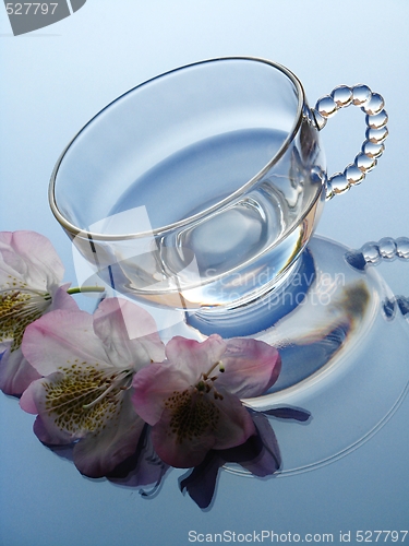 Image of Rhododendron and glass pot