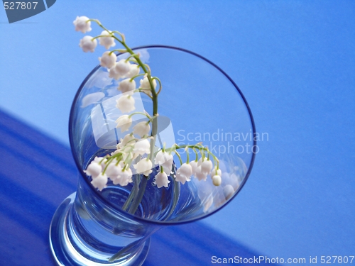 Image of lily of the valley - detail