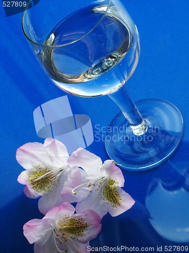 Image of laurel and glass of water