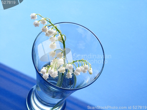 Image of lily of the valley over blue background