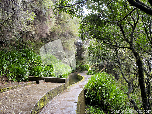 Image of beautiful Madeira landscape