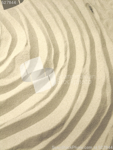 Image of Sand ripples