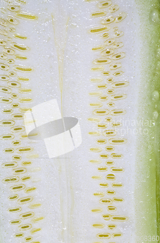 Image of cut into parts ripe delicious zucchini,