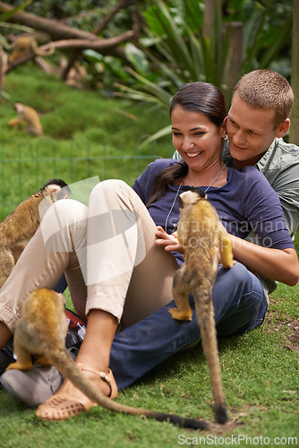 Image of Nature, zoo and monkey with couple together for wildlife rescue, outdoor activity or interactive experience. Conservation, date and happy people for bonding, holiday or travel at animal sanctuary