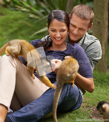 Image of Monkey, animal and zoo with couple together for wildlife rescue, outdoor activity or interactive experience in nature. Conservation, date and happy people for bonding, holiday or travel at sanctuary