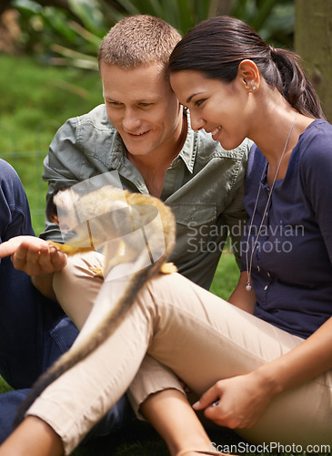 Image of Monkey, nature and park with couple at zoo together for outdoor activity or interactive experience. Date, love or smile with happy young man and woman bonding at animal sanctuary for sustainability