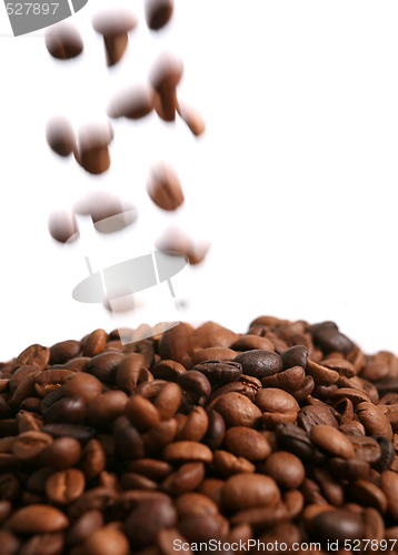 Image of Falling coffee beans