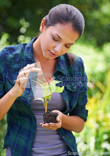 Image of Woman, gardening and plants with soil, flowers and hobby with fresh air or spring with earth day. Person, outdoor or girl with nature, peace or countryside with agriculture, growing or sustainability