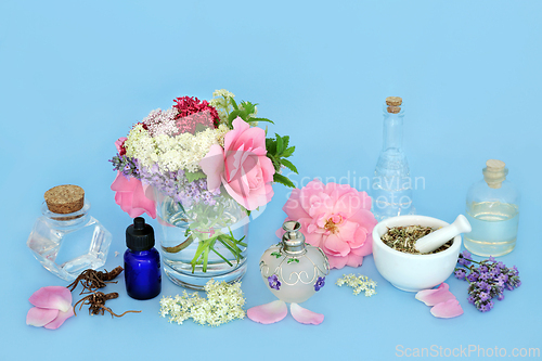 Image of Herbs and Flowers for Homeopathic Herbal Medicine
