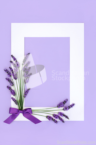 Image of Lavender Herb Flower Abstract Floral Background  Border