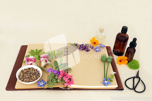 Image of Herbal Medicine Preparation with Herbs Flowers and Essential Oil