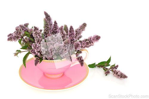 Image of Peppermint Flower Leaf Tea to Relieve Anxiety and Stress 