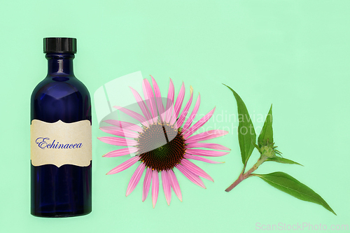 Image of Natural Echinacea Herbal Medicine for Colds and Flu