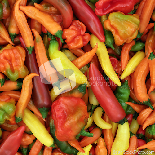 Image of Chili Pepper Vegetables Healthy Spicy Food