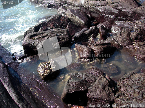 Image of Seaside rocks