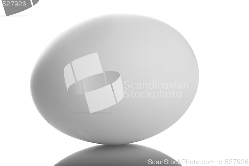 Image of Egg