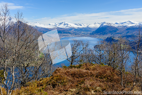 Image of Majestic mountain vista encompassing serene fjord and verdant fo