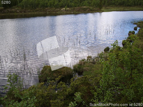 Image of Lake