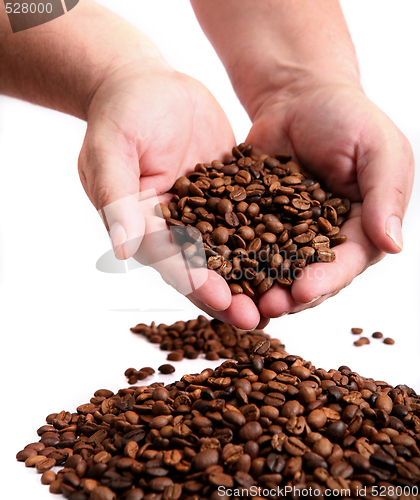 Image of Hands holding coffee beans