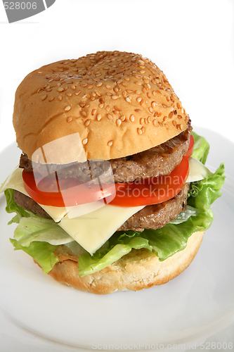 Image of Homemade beefburger