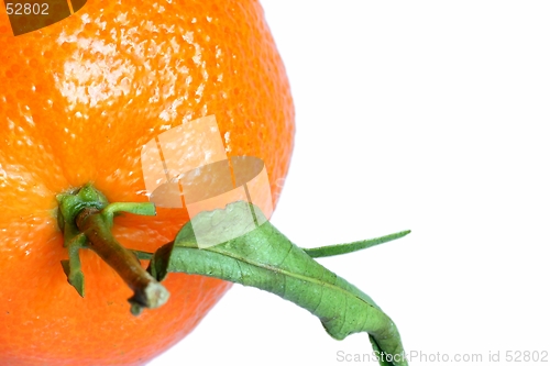 Image of mandarin