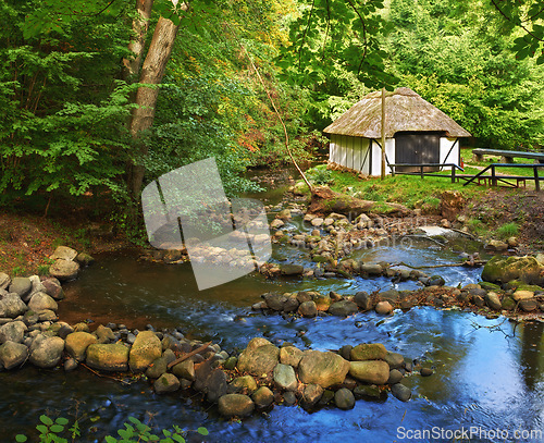 Image of Countryside, forest and river with vintage cabin in nature with bushes, environment and conservation in Virginia. Village, woods and storage with rust in ghost town and isolated neighborhood