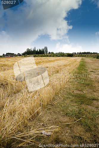 Image of Hay Field