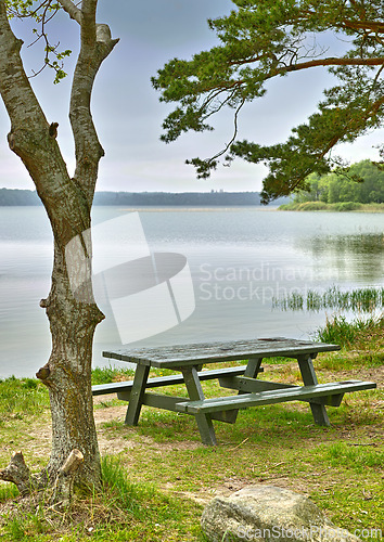 Image of Lake, bench and summer with nature, trees and environment with grass and earth with blue sky. Empty, seating and water with fresh air and forest with plants and landscape with countryside and ecology