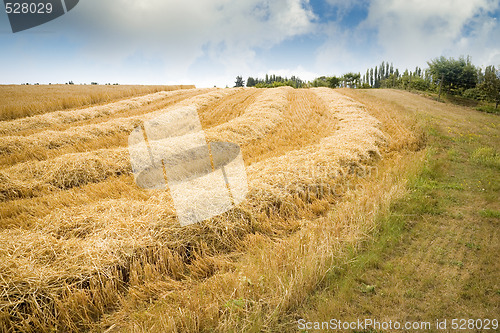 Image of Hay Field