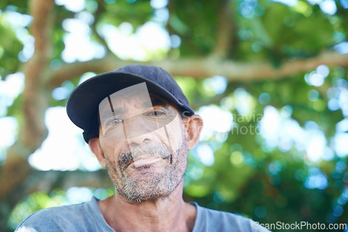 Image of Portrait, wrinkles and outdoor for senior male person, mature and old in nature. Face, tree or weathered skin from working in Brazil tropical weather, closeup and labour for retired man people