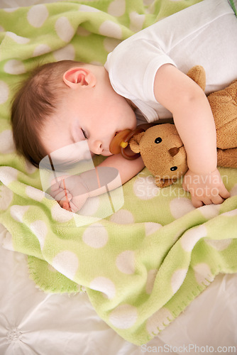 Image of Baby, sleeping and home with teddy bear, nap and nursery with peace in a bed with blanket. Morning, youth and kid with dream of an infant with child development from rest in a bedroom with a newborn