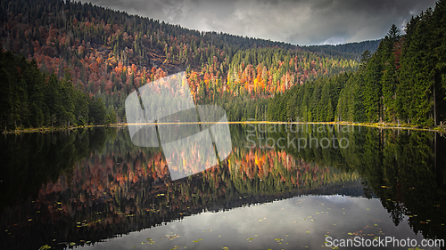 Image of Großer Arbersee, Bavarian Forest