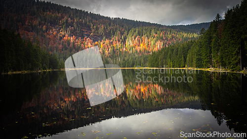 Image of Großer Arbersee, Bavarian Forest