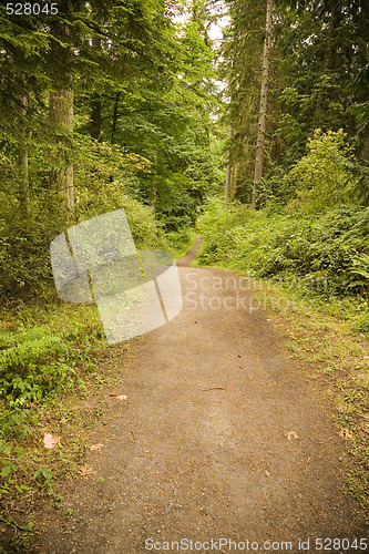 Image of Pacific Northwest Trail